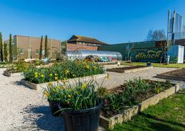 Horticultural area</br>